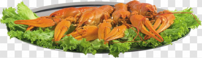 Crayfish As Food Crab Beer Lobster Vegetarian Cuisine Transparent PNG