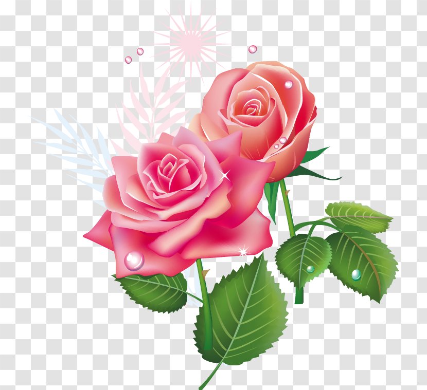 Blessing Morning Quotation Wish - Petal - Pink Rose Pattern Transparent PNG