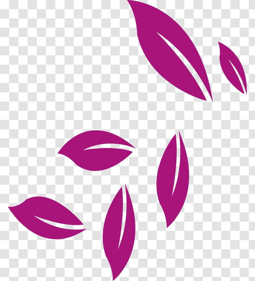 Petal Pattern - Magenta - Leaves Transparent PNG