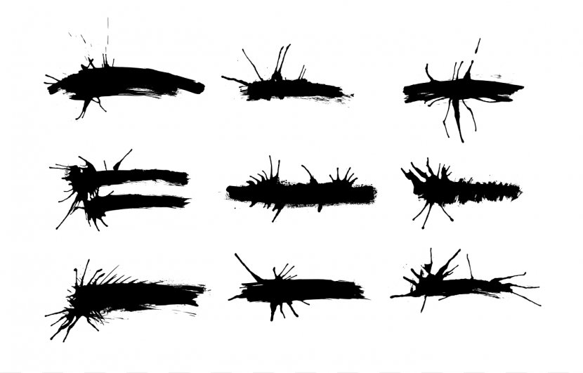 Brush Black And White Insect - Wing - Stroke Transparent PNG