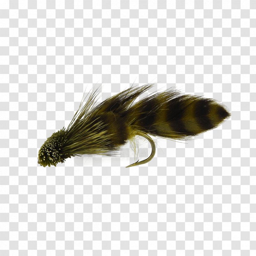 Fly Fishing Artificial Sculpins - Invertebrate Transparent PNG