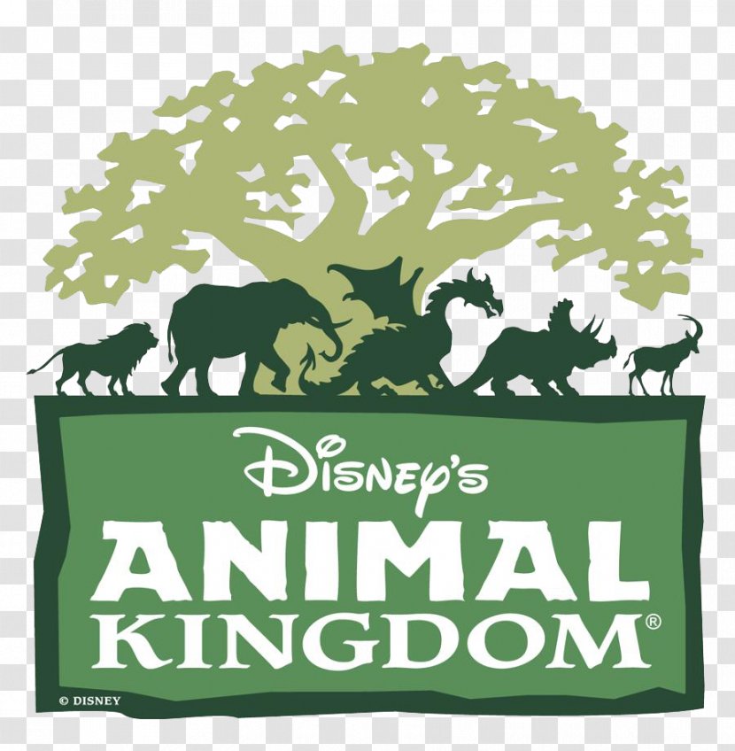 Kilimanjaro Safaris Disney's Hollywood Studios Dinosaur Kali River Rapids Amusement Park Transparent PNG