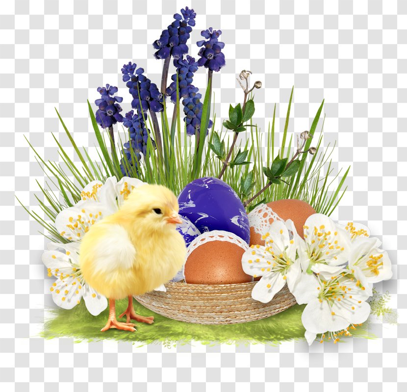 Easter Bunny Red Egg Holiday - Party Transparent PNG