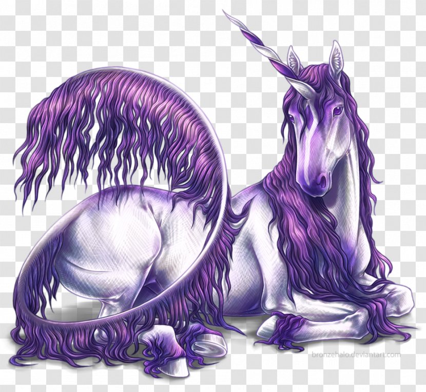 The Black Unicorn Horse Legendary Creature Mythology Transparent PNG