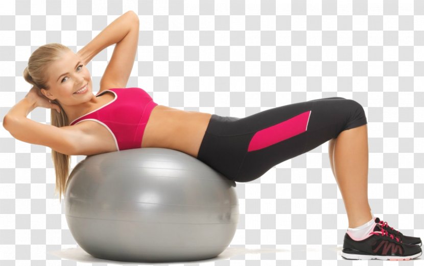 Exercise Balls Physical Fitness Strength Training Therapy - Tree - Pilates Transparent PNG