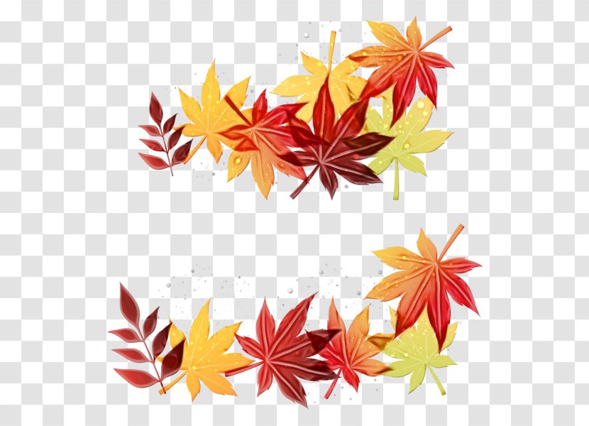 Watercolor Flower Background - Maple Leaf - Autumn Transparent PNG