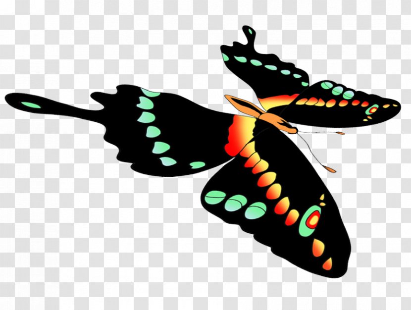 Insect Line Clip Art - Butterfly Transparent PNG