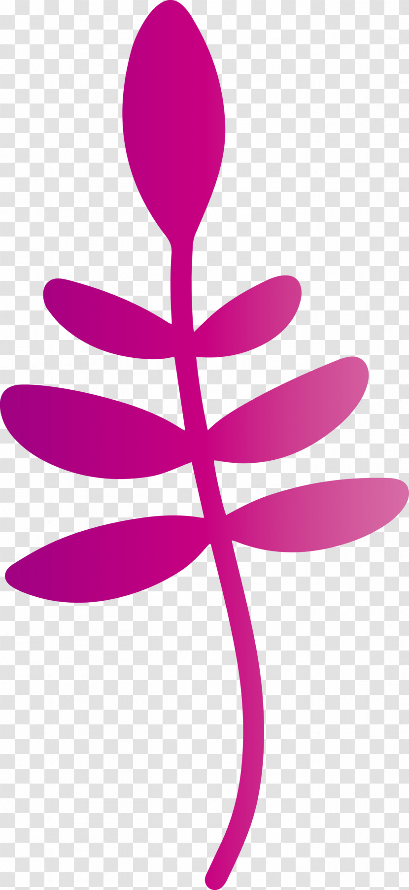 Flower Petal Line Meter Symbol Transparent PNG