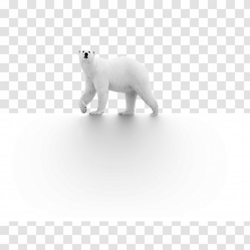 Polar Bear Dog Black And White - Flower Transparent PNG