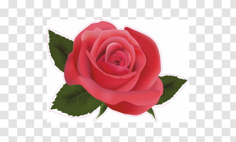 Rose Clip Art - Floribunda Transparent PNG