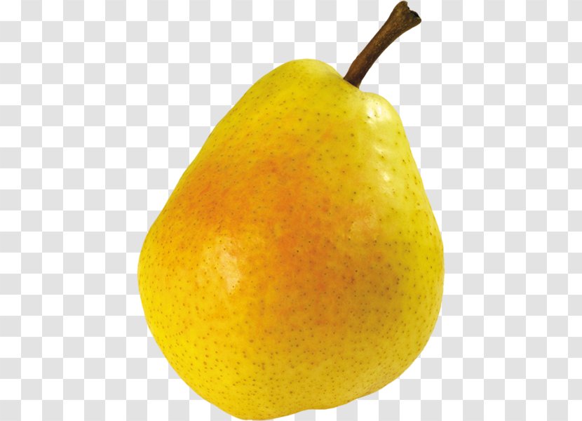 Pear Image File Formats - Photography Transparent PNG