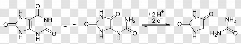 Hydantoin Heterocyclic Compound Quinoxaline Imidazole Chemistry - Photosynthesis - Wing Transparent PNG