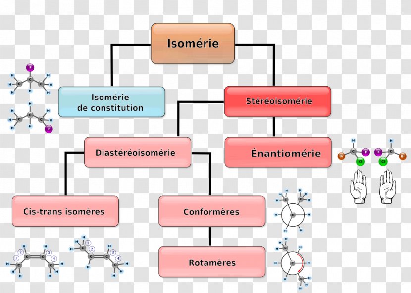 Cis–trans Isomerism Chemistry Stereoisomerism Diastereomer - Cistrans - Neil Degrasse Tyson Transparent PNG