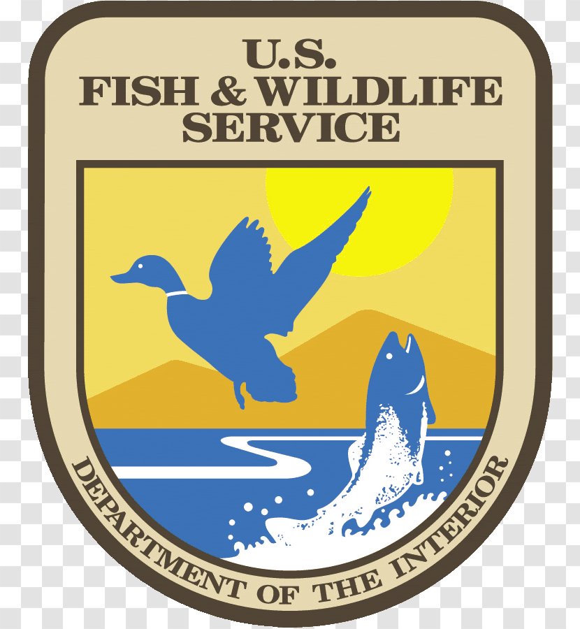 United States Fish And Wildlife Service Logo Of America Endangered Species Act 1973 North American Wetlands Conservation - Fauna - Seal Transparent PNG
