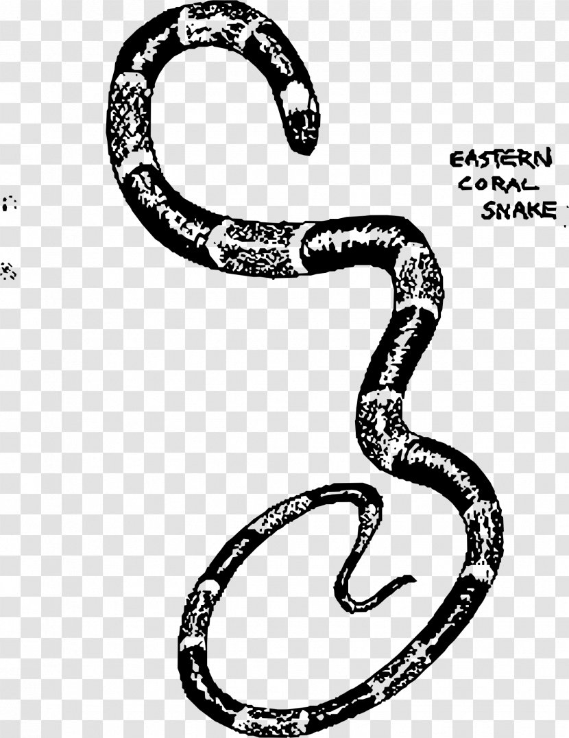 Snake Vipers Drawing Clip Art - Viper - Snakes Transparent PNG