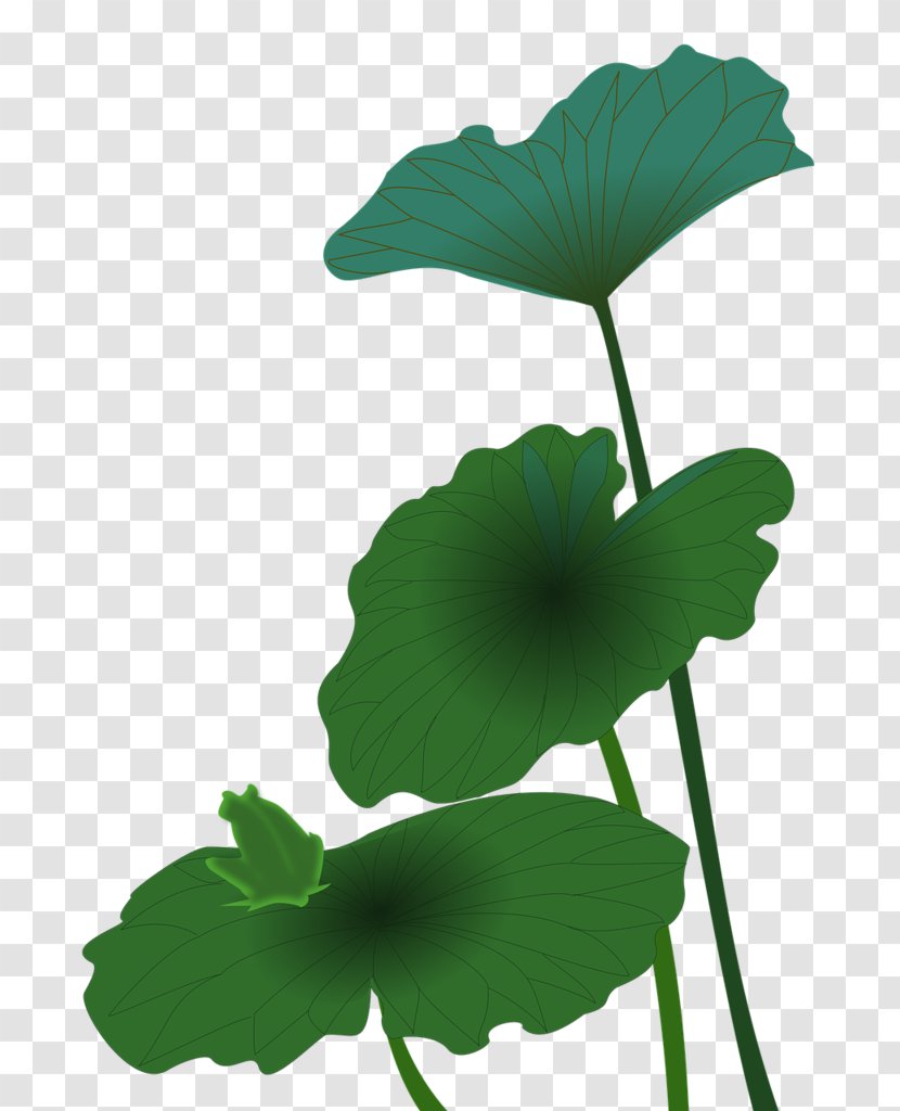 Green Leaf Logo - Plant - Stem Annual Transparent PNG