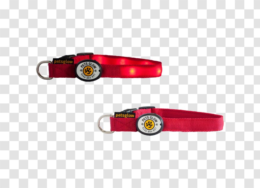 Leash Dog Collar - Light Transparent PNG