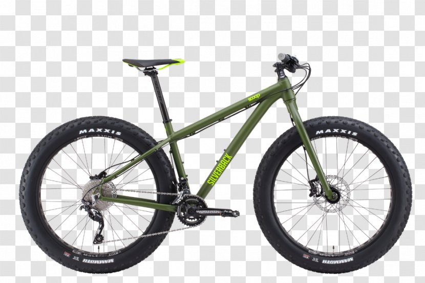 raleigh bikes mtb