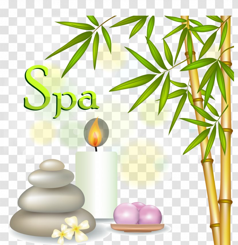 Bambusodae Icon - Medicine - Bamboo Candle Products Transparent PNG