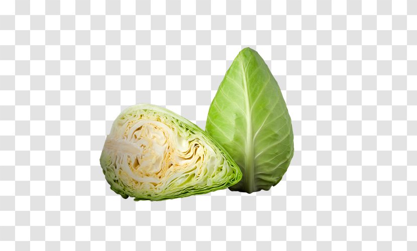 Romaine Lettuce Capitata Group Pointed White Cabbage Salad Cruciferous Vegetables - Leaf Vegetable - Romanesco Broccoli Transparent PNG