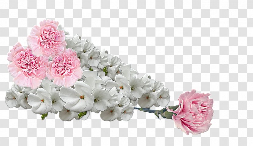 Rose Flower Bouquet White - Carnation Transparent PNG