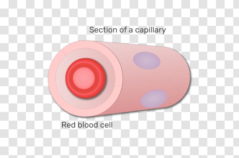 Red Blood Cell Transparent PNG