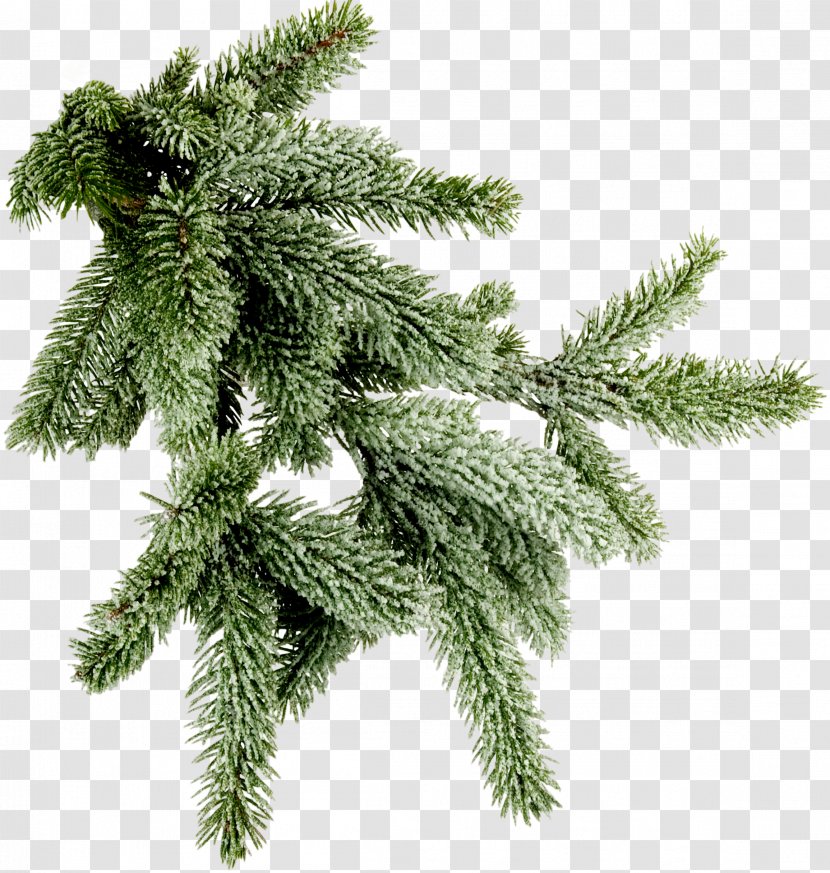 Clip Art Stock Photography Image Christmas Day Tree Transparent PNG