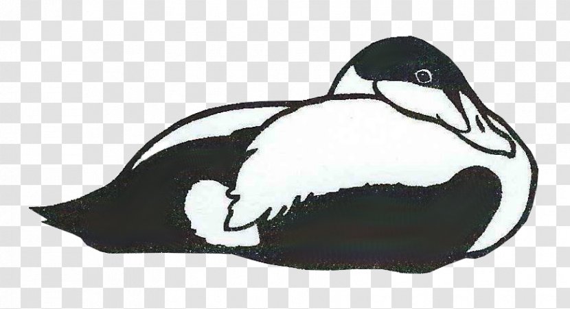 Duck Penguin Drawing /m/02csf Fauna - Marine Mammal Transparent PNG