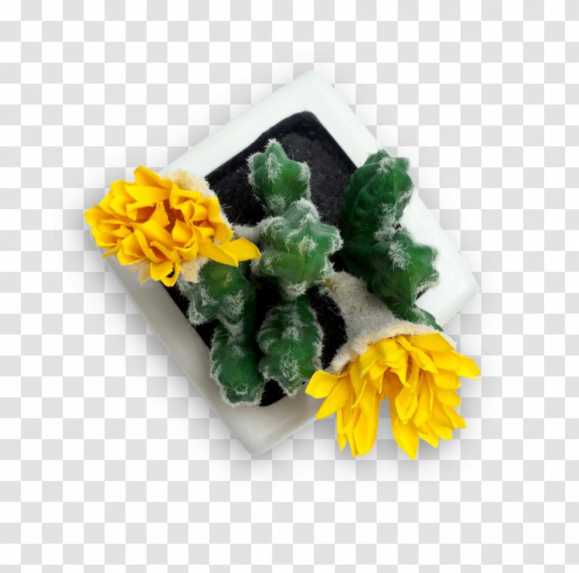 Yellow Book Cut Flowers Instagram Newsletter - Hemp Seeds Transparent PNG