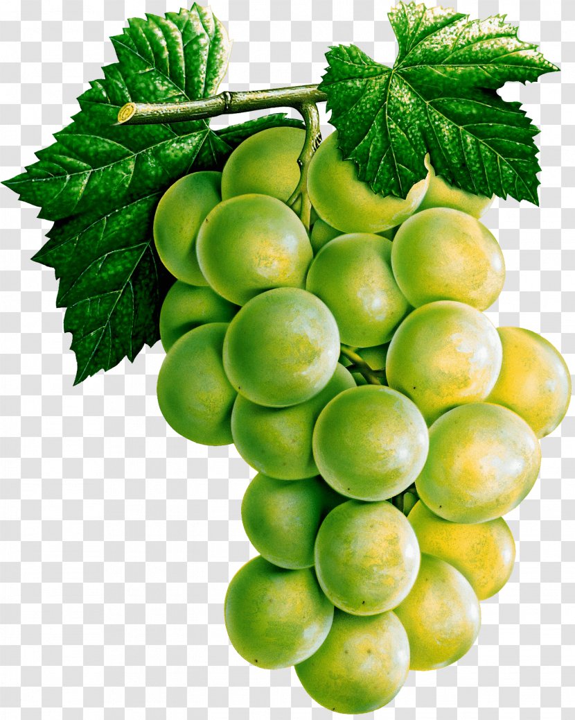 White Wine Common Grape Vine Juice - Grapevine Family - Image Transparent PNG