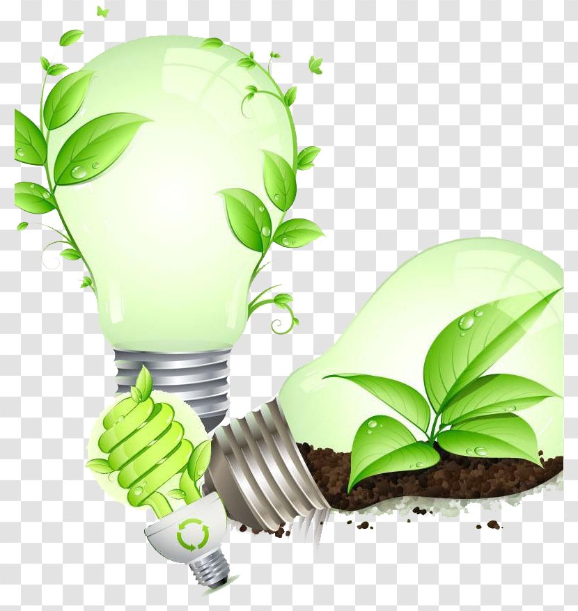 Energy Conservation Saving Lamp Efficient Use Efficiency - Consumption - Bulb Plant Design Transparent PNG