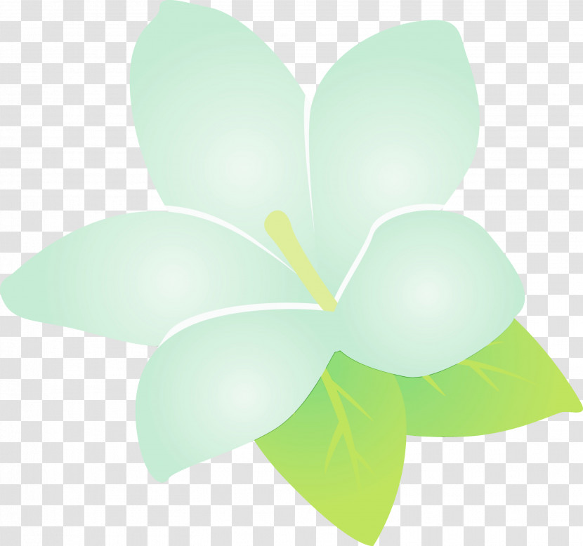 Plant Stem Leaf Flower Petal Green Transparent PNG