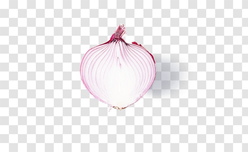 Onion Red Vegetable Pink Shallot - Allium - Magenta Amaryllis Family Transparent PNG