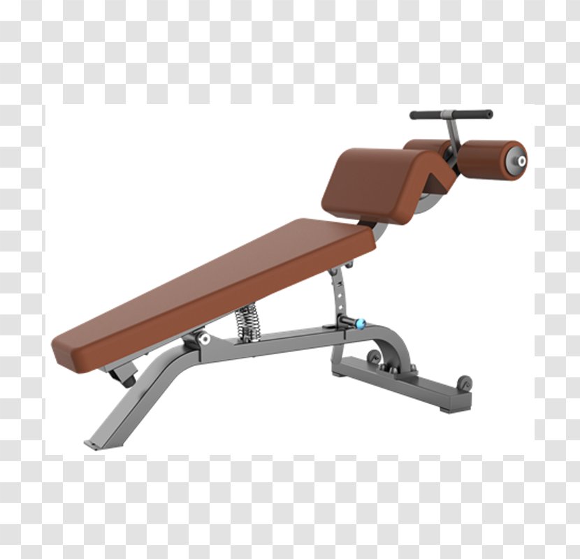 Bench Press Exercise Equipment Crunch Abdominal - Bodybuilding Transparent PNG