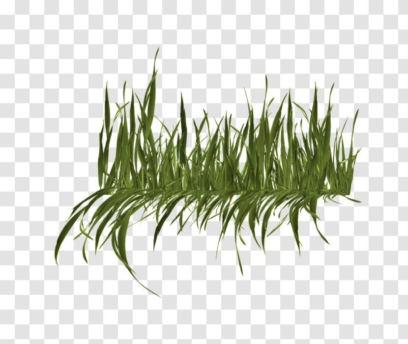 Lawn Mowers Artificial Turf - Us Route 12 Transparent PNG