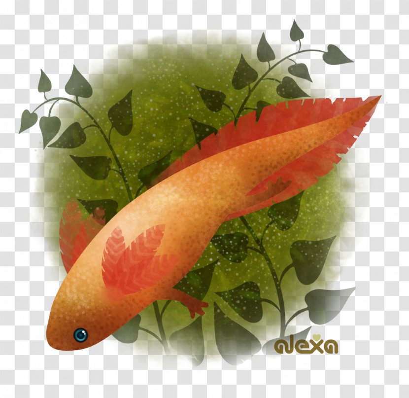 Garnish Vegetable Fruit Fish - Dead Transparent PNG