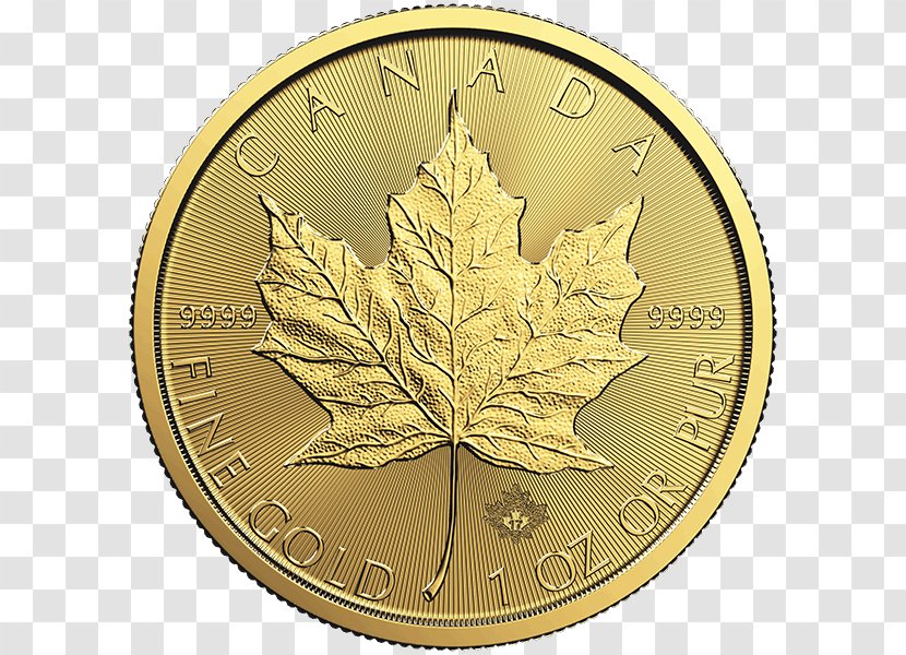 Canada Canadian Gold Maple Leaf Bullion Coin Transparent PNG