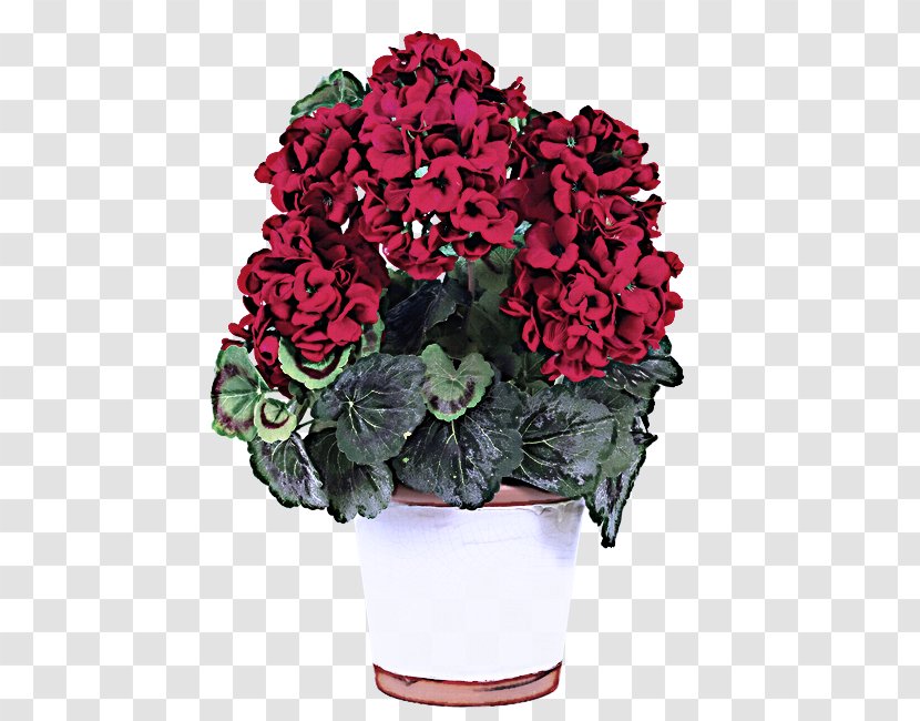 Flower Plant Flowerpot Red Flowering - Pink - Petal Hydrangea Transparent PNG