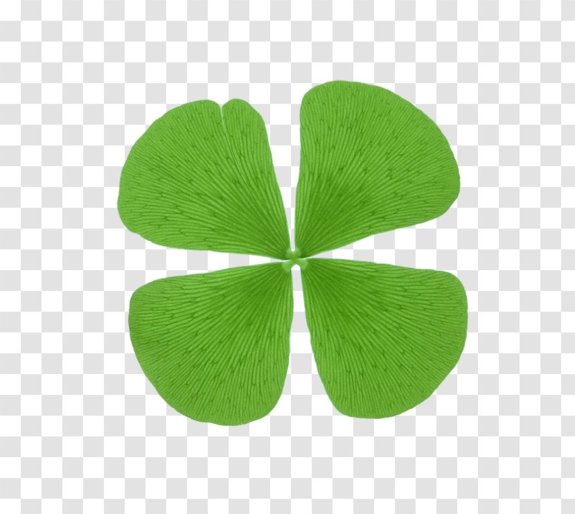 Creativity Clover Shamrock - Symbol - Creative Transparent PNG