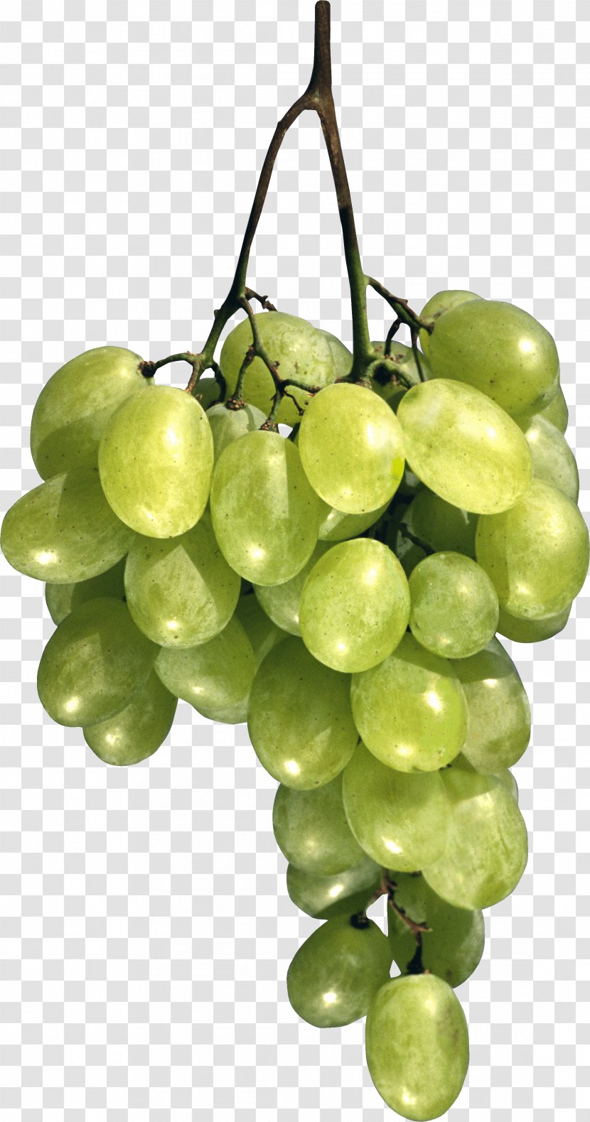 Common Grape Vine Moscow Cafe Breakfast - Produce - Green Image Transparent PNG