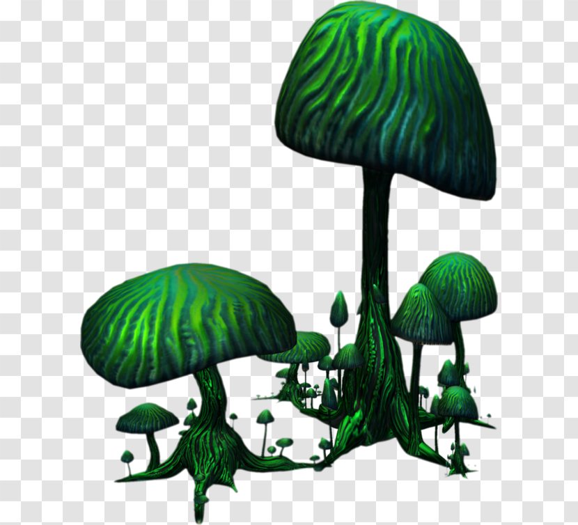 Green Illustration - Organism - Mushroom Forest Transparent PNG