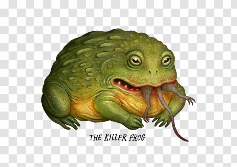 American Bullfrog Toad DeviantArt Goliath Frog - Drawing Transparent PNG
