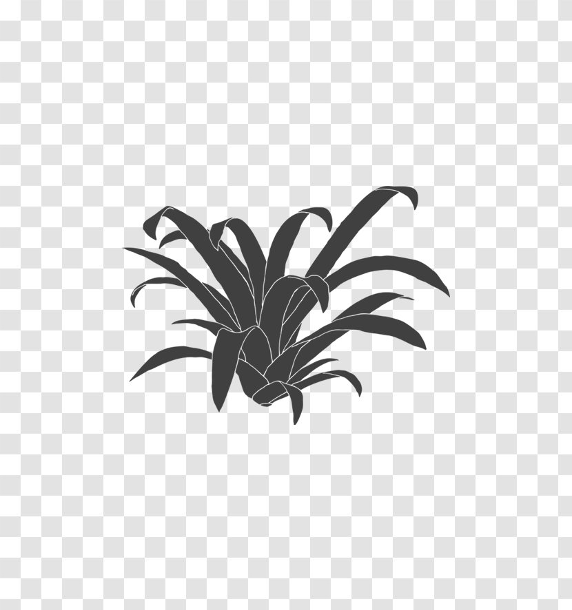 Green Leaf Background - Nursery - Perennial Plant Blackandwhite Transparent PNG