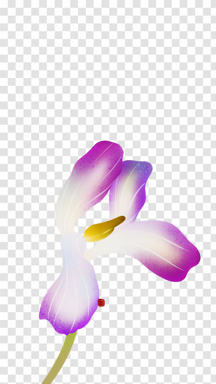 Lavender Transparent PNG