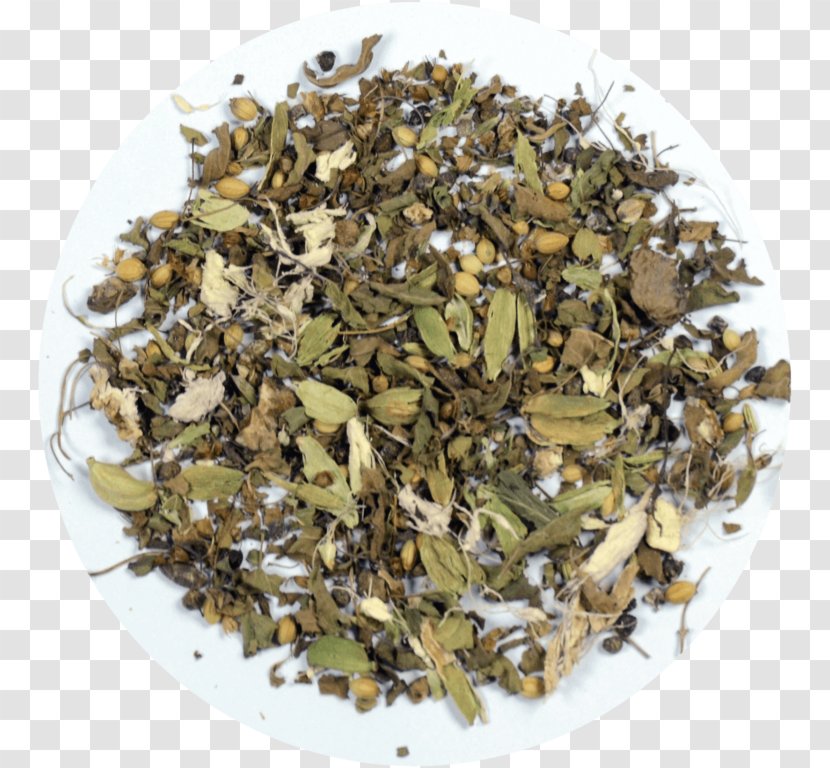 Vinaigrette Maghrebi Mint Tea Herb Catnip - Gunpowder Transparent PNG
