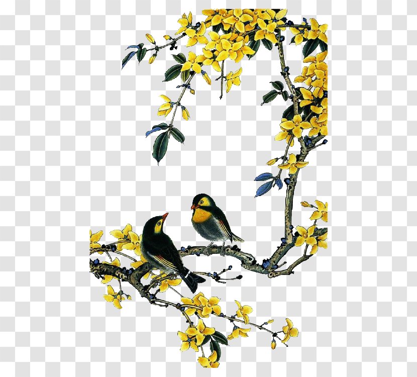 Bird-and-flower Painting Chinese Gongbi - Yellow - Flower Transparent PNG