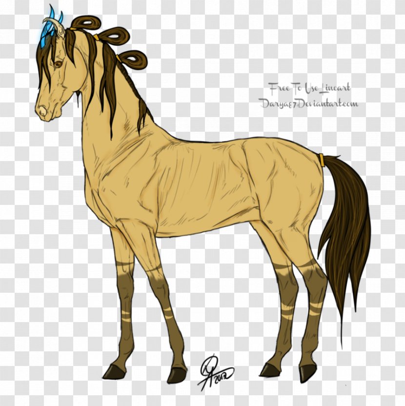 Mule Foal Stallion Mare Halter - Horse Tack - Mustang Transparent PNG