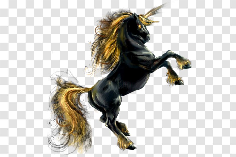 Mustang Stallion Rearing Pony - Fairy Transparent PNG