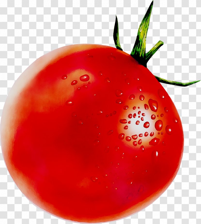 Plum Tomato Royalty-free Image Stock Photography - Royalty Payment Transparent PNG