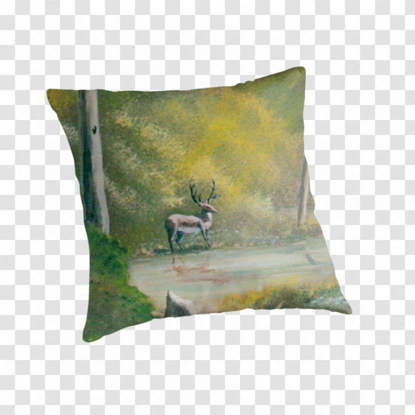 Throw Pillows Cushion - Acrylic Paint Transparent PNG